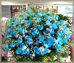 青いバラ　お祝いスタンド50,000円（税抜）